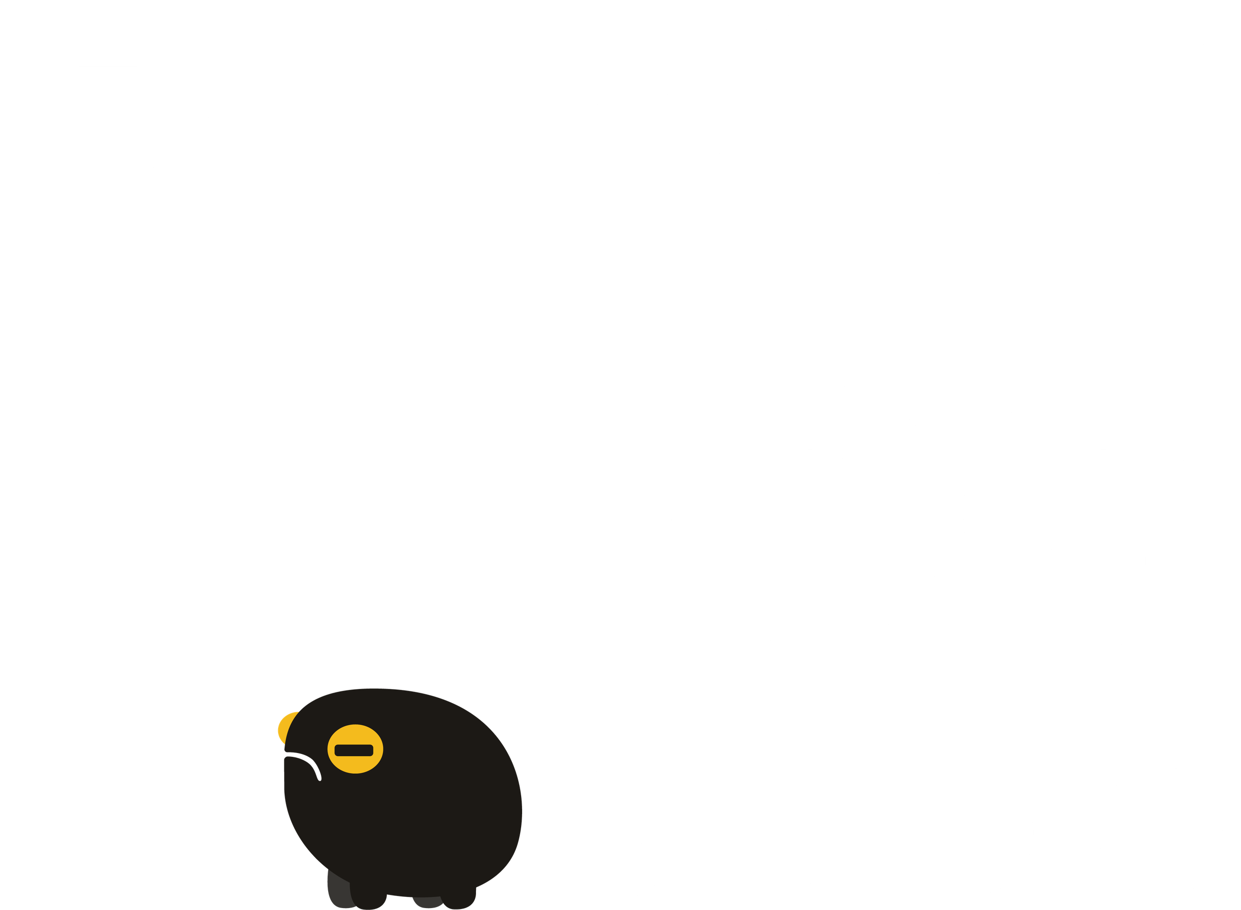 Black Frog studio