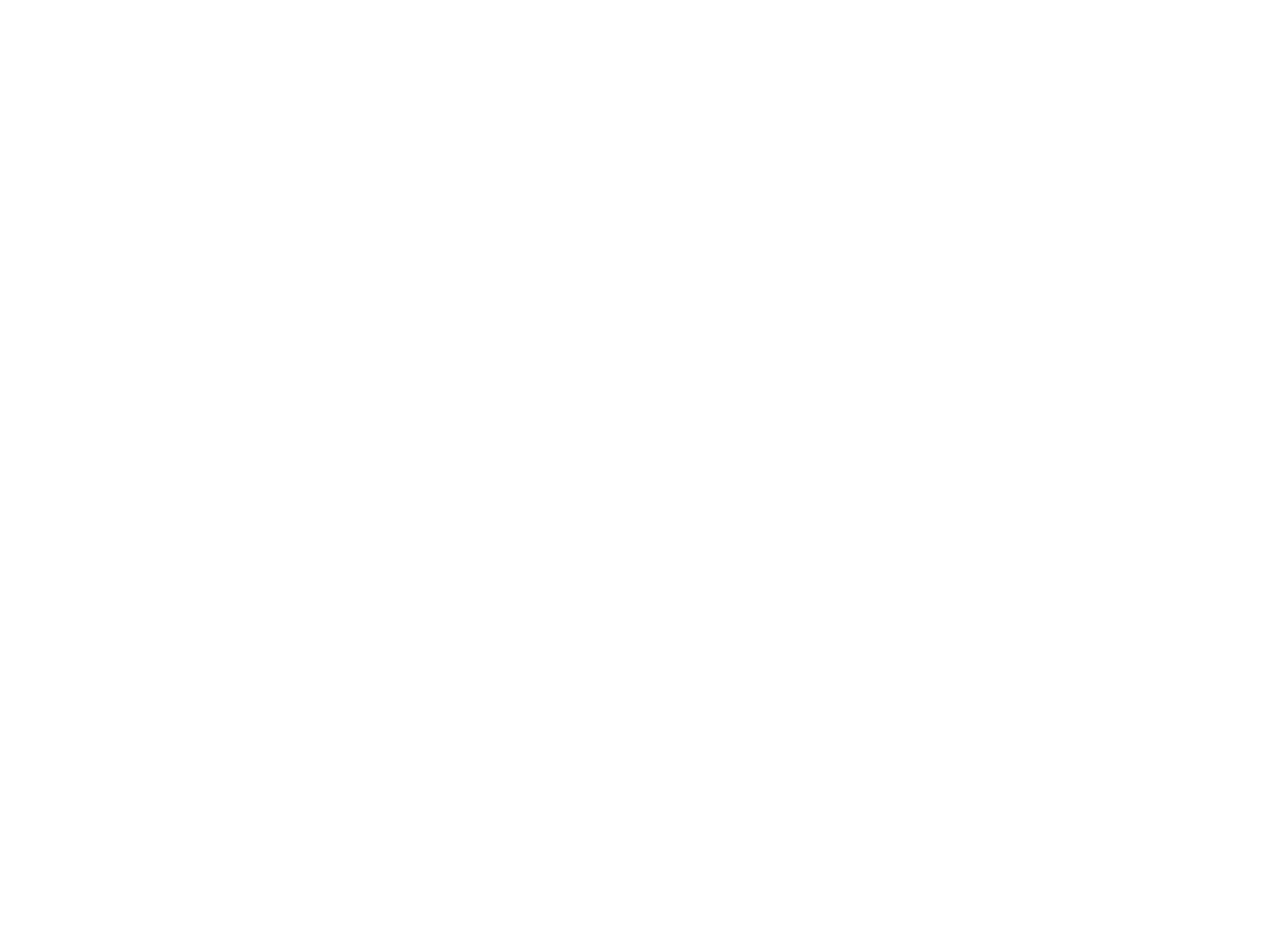 Black Frog studio